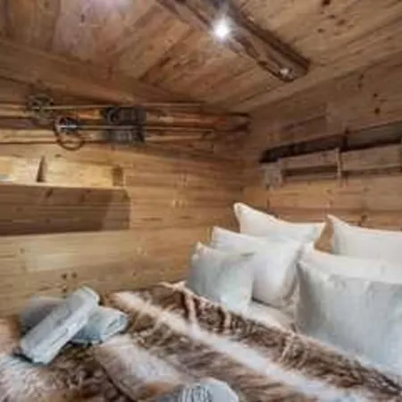 Apex Executive - 35 Rue Du Slalom Fr * Val Thorens